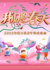 安徽卫视春节联欢晚会2026